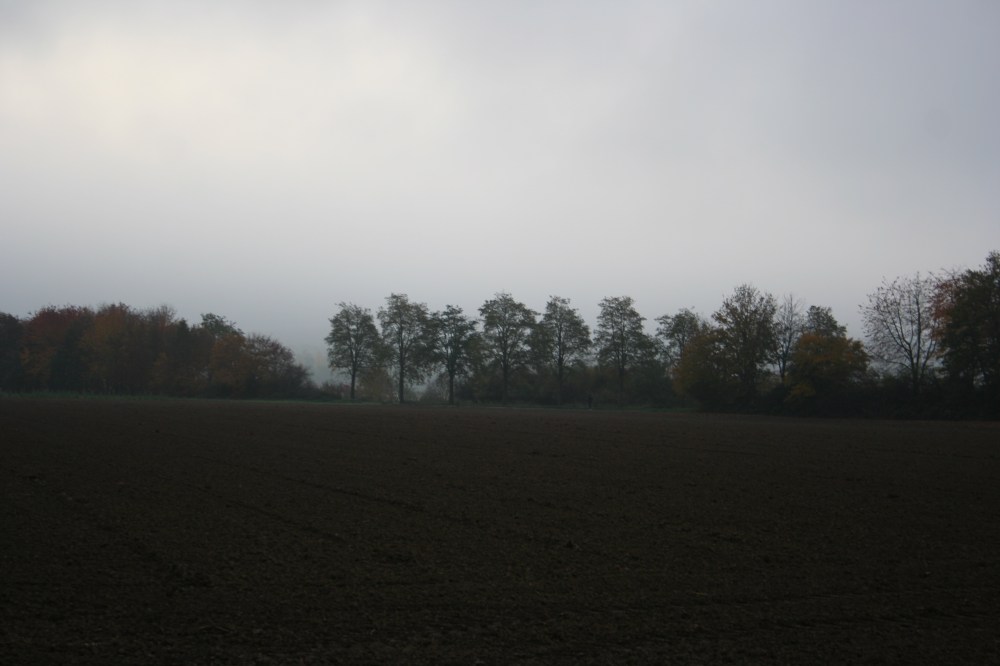 IMG_8302 (3)