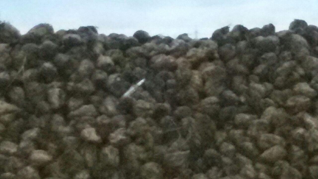 20151121_074345