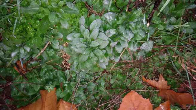 20151124_080352 Kopie