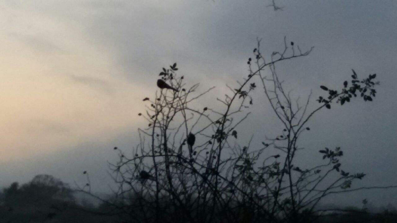 20151127_080119