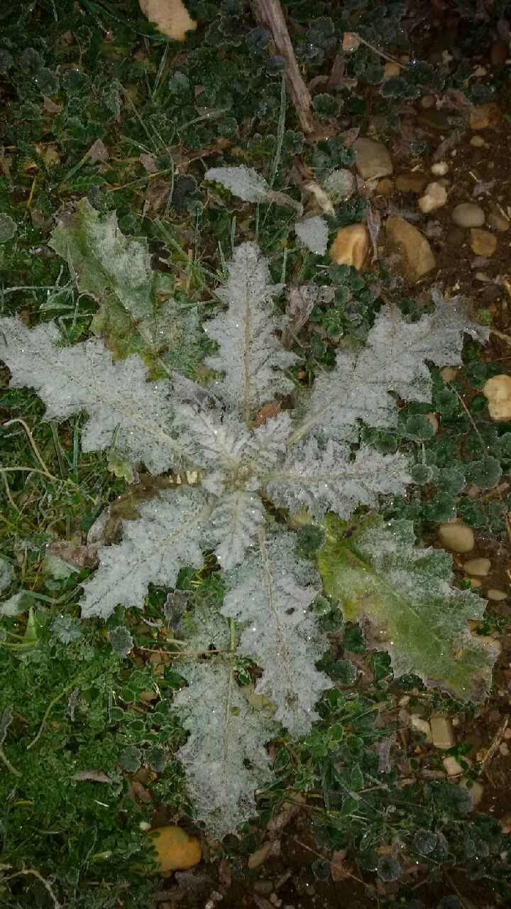 20151210_080326