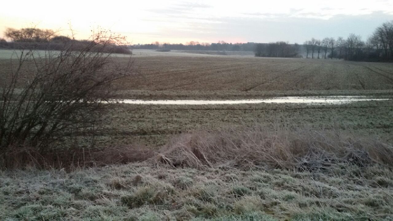 20160213_073933
