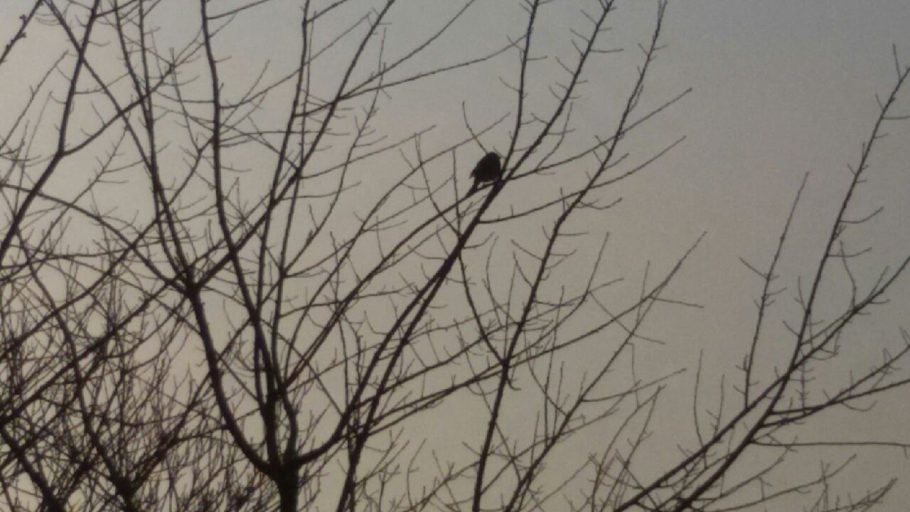 20160318_080157
