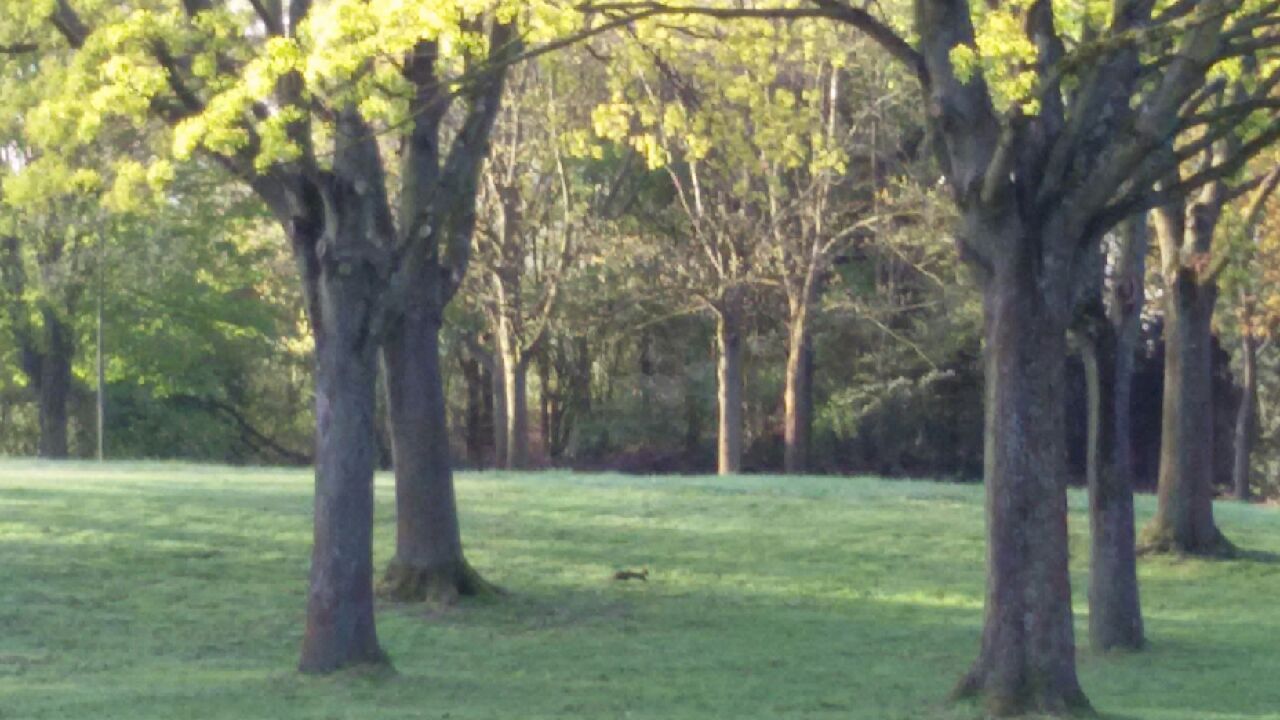 20160420_074019