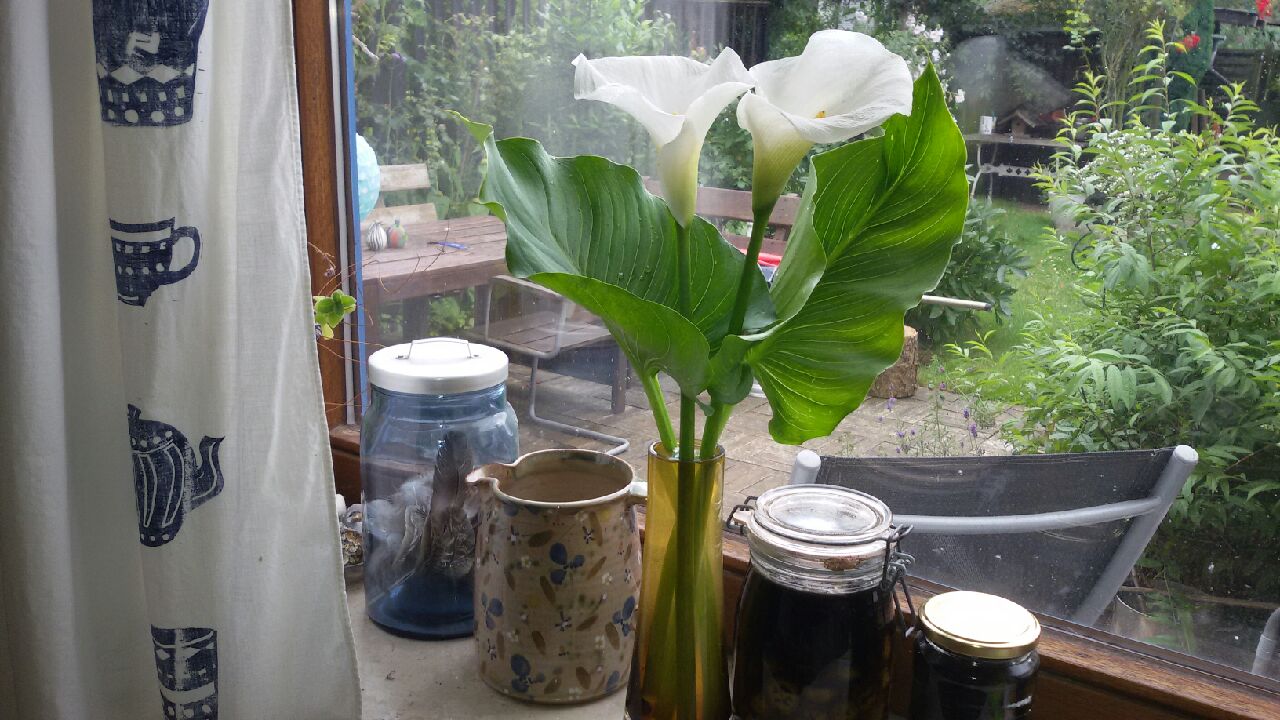 20160702_151217