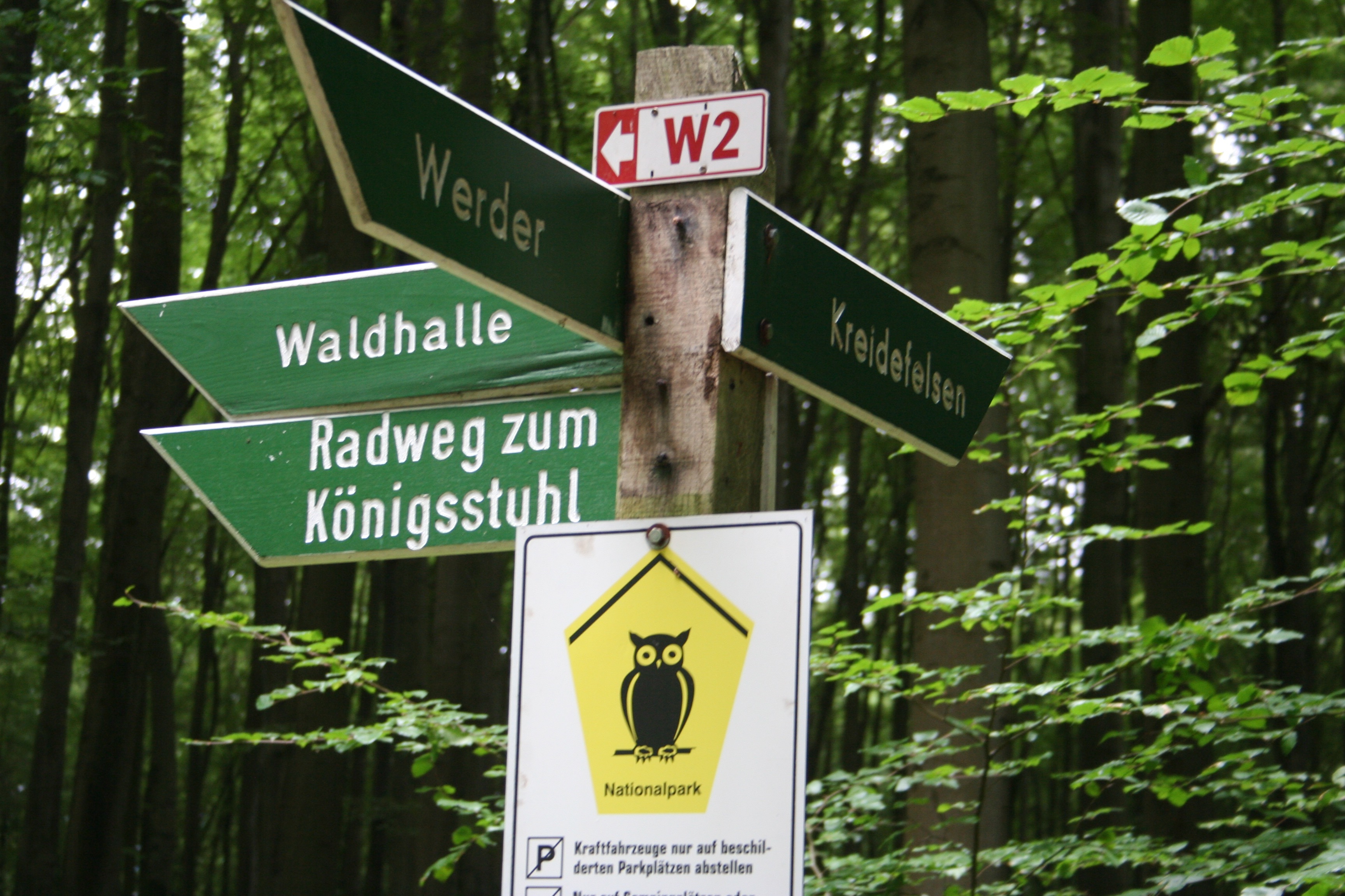 IMG_8651