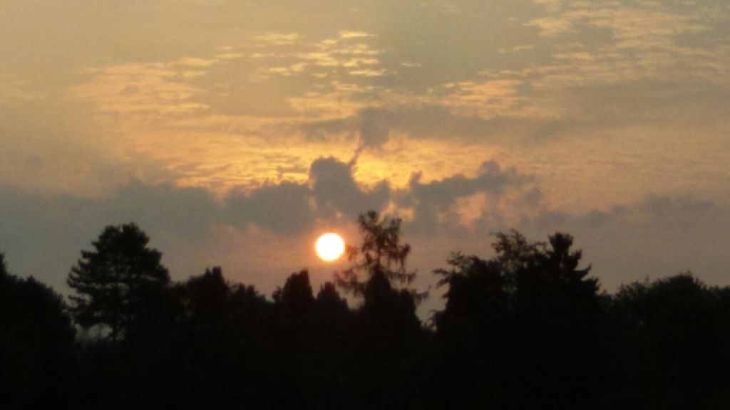 Sommerausklang