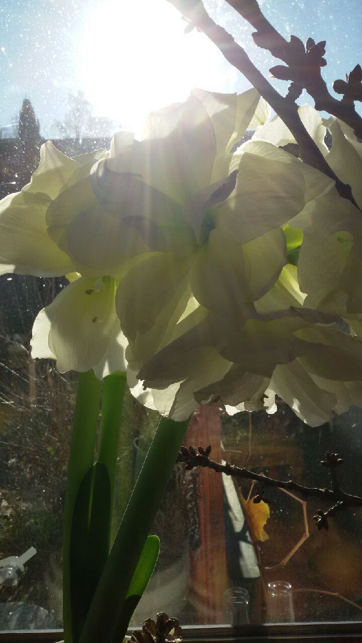schöne Zeit