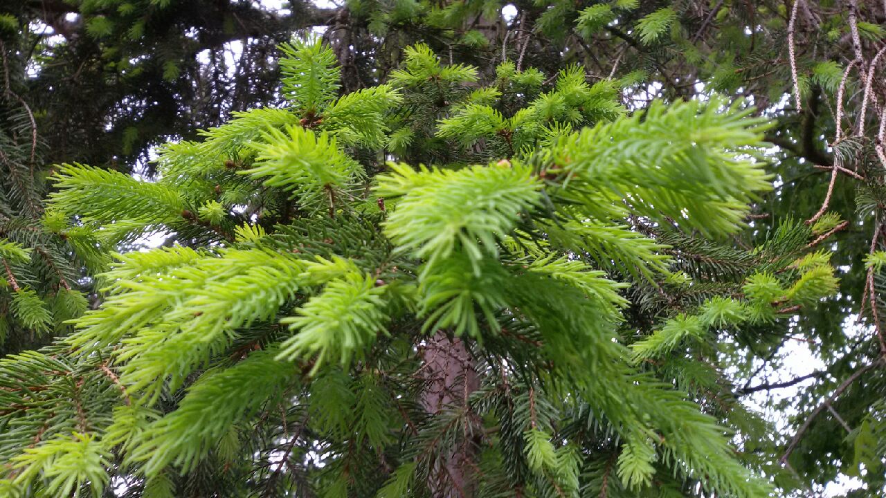 20170512_081507
