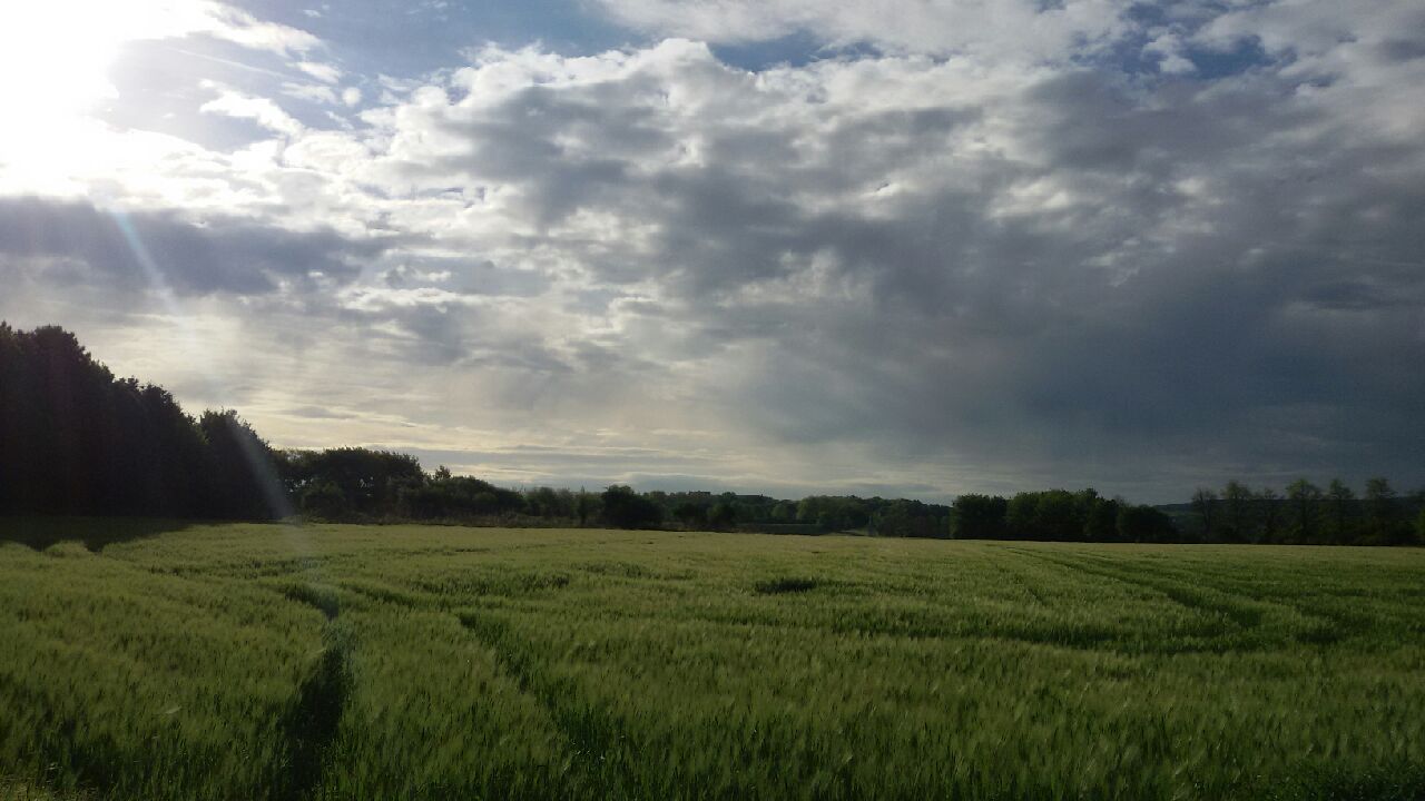 20170513_075748