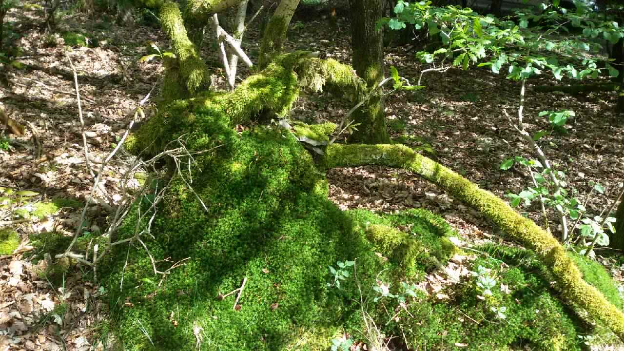 20170520_155237