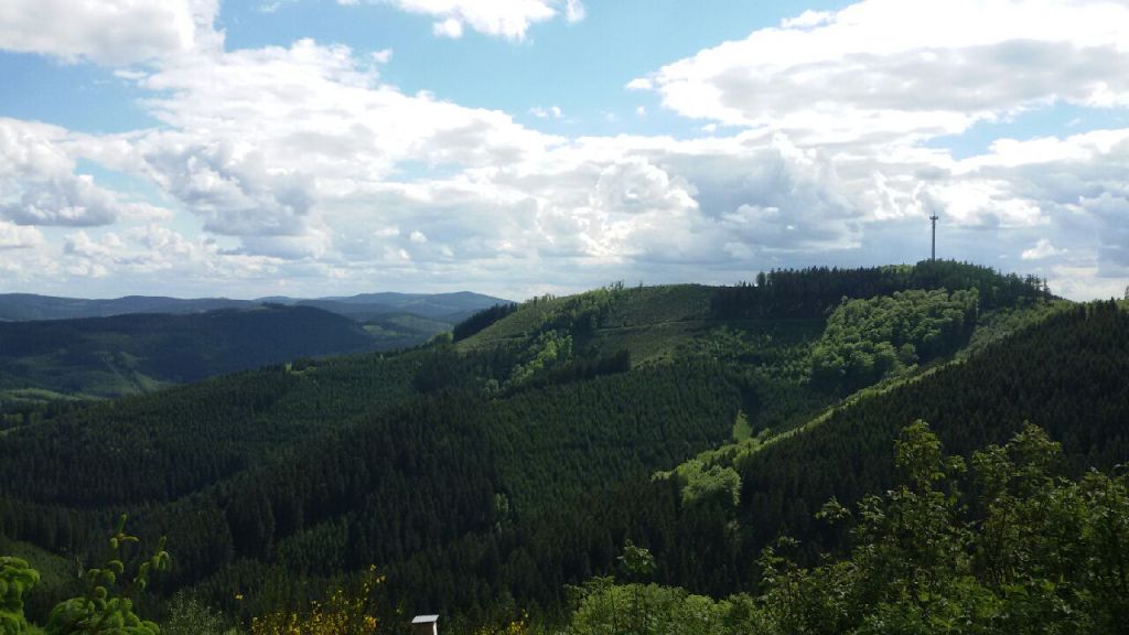 Im Wald