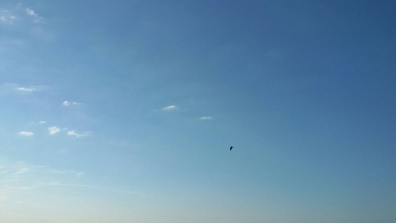 20170522_075204