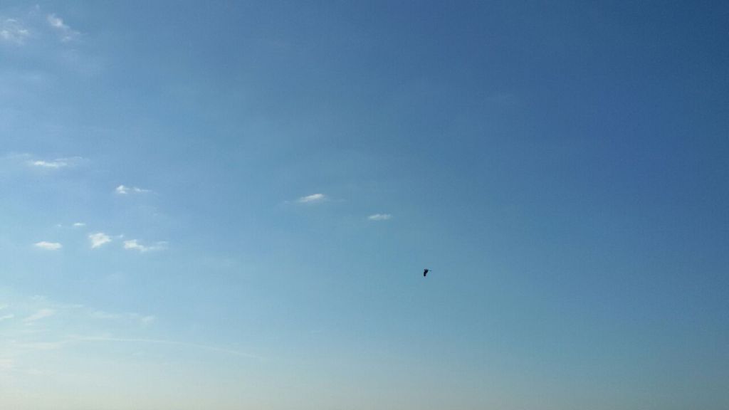 Sonne satt