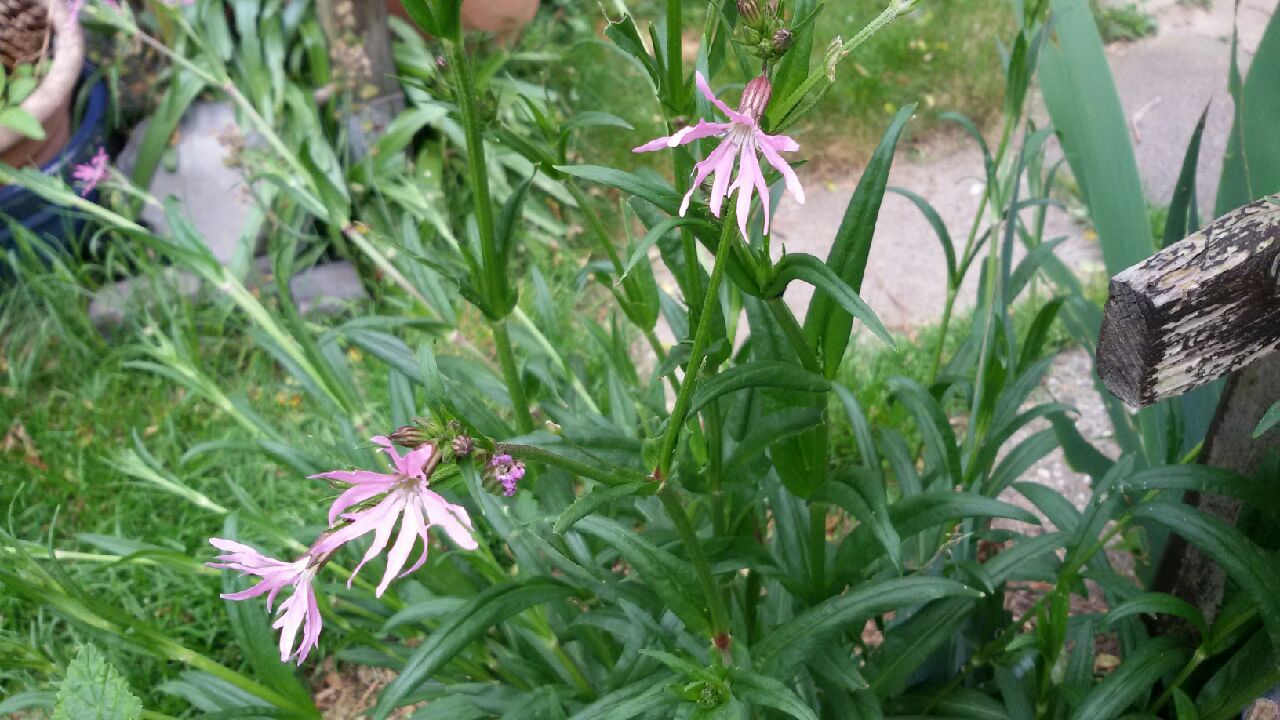 20170524_141723