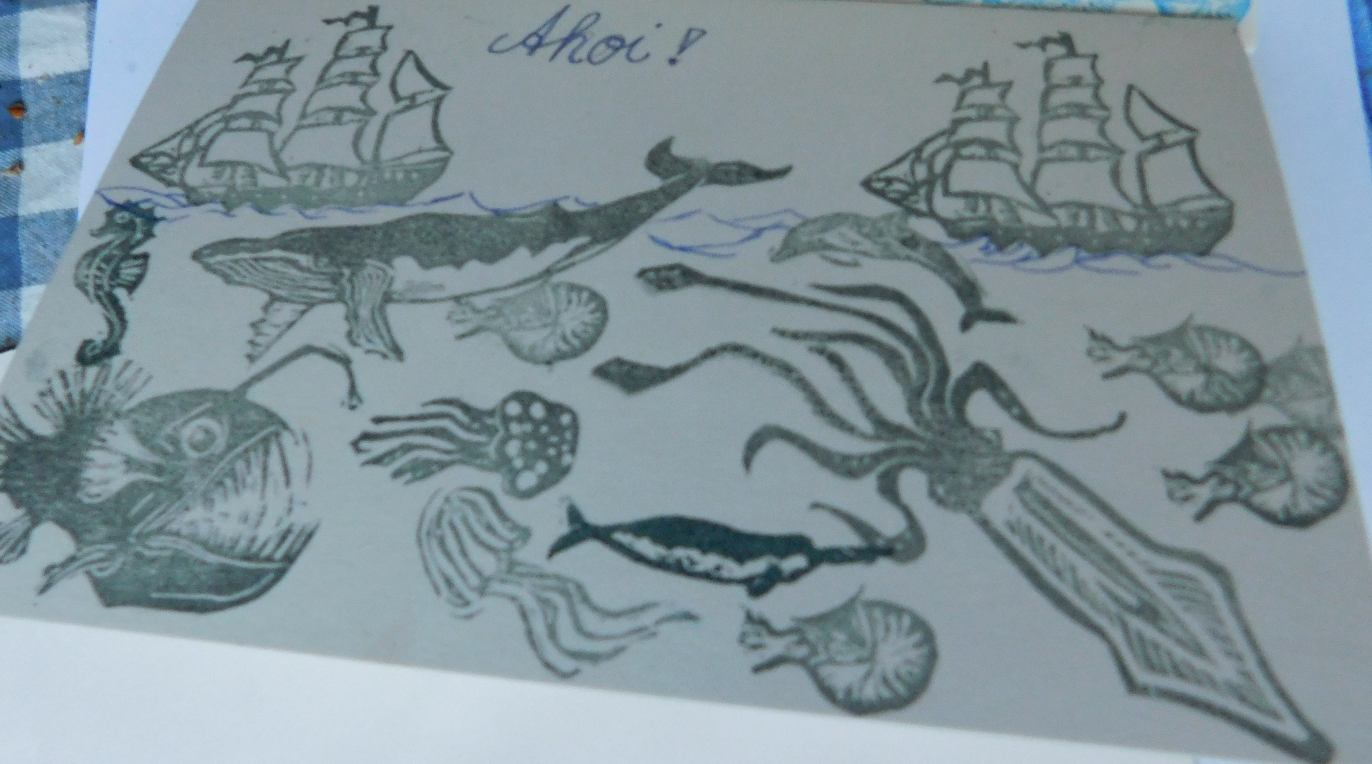 dscn4195.jpg