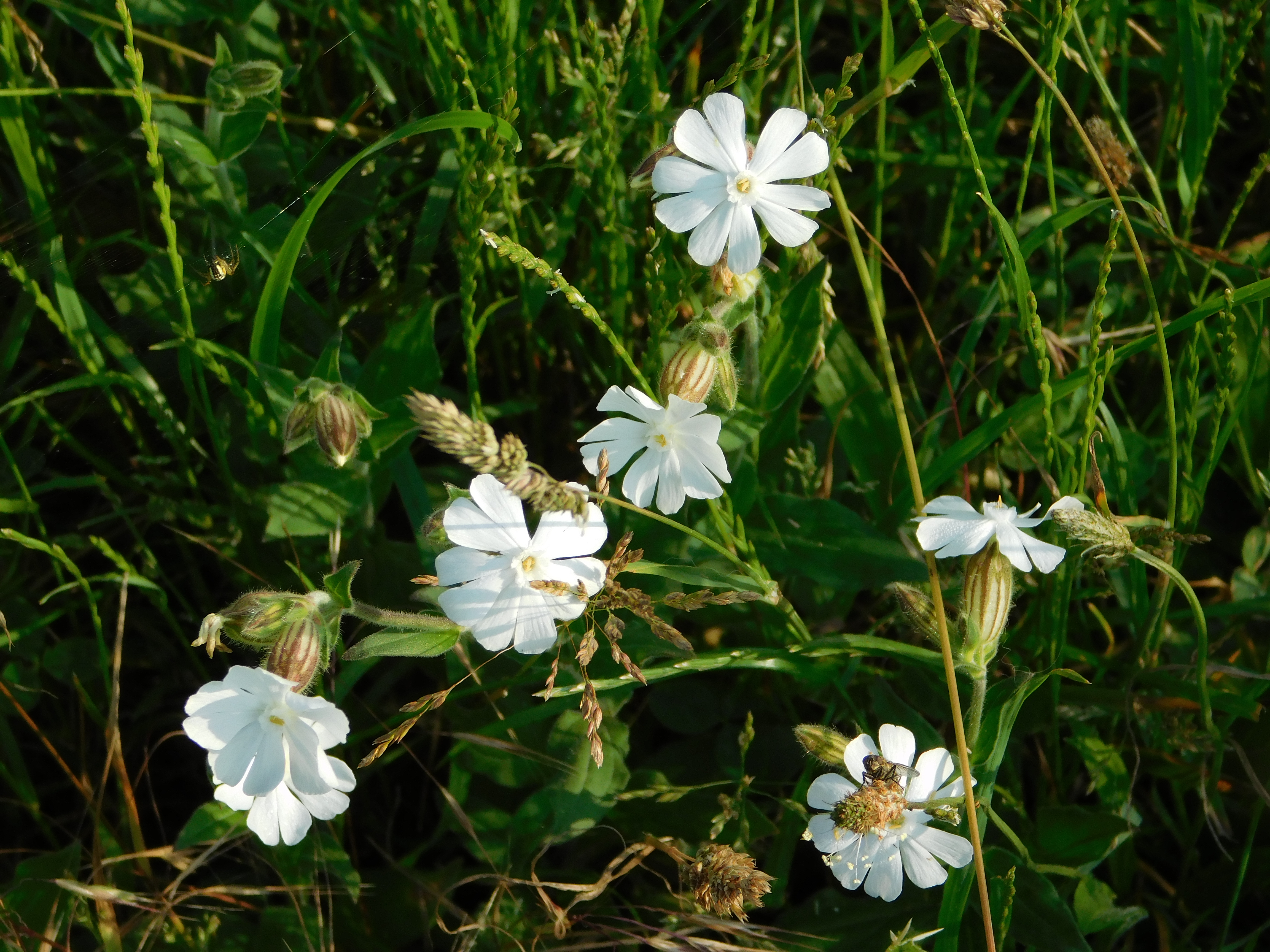 DSCN4722.JPG
