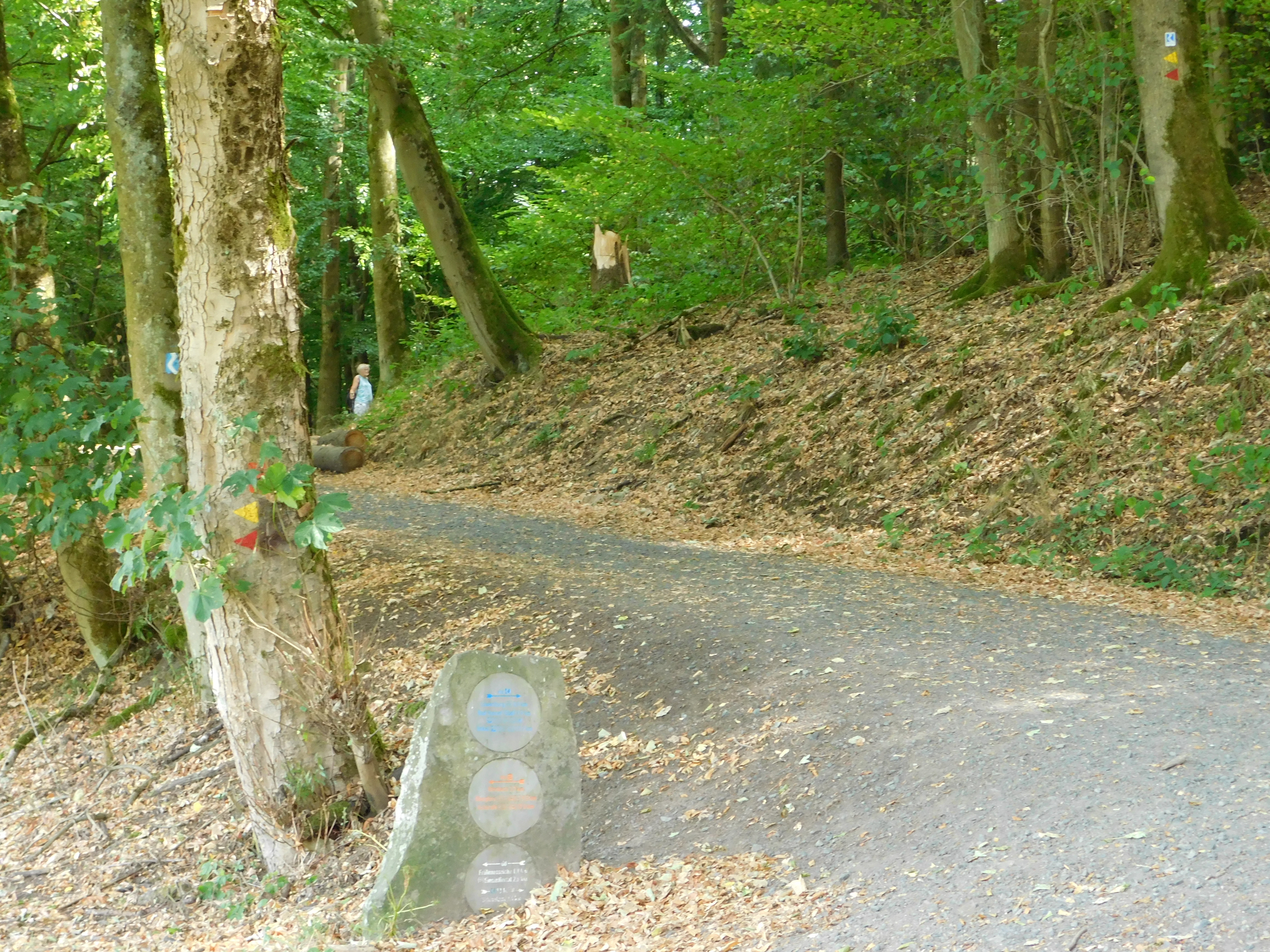 DSCN5201