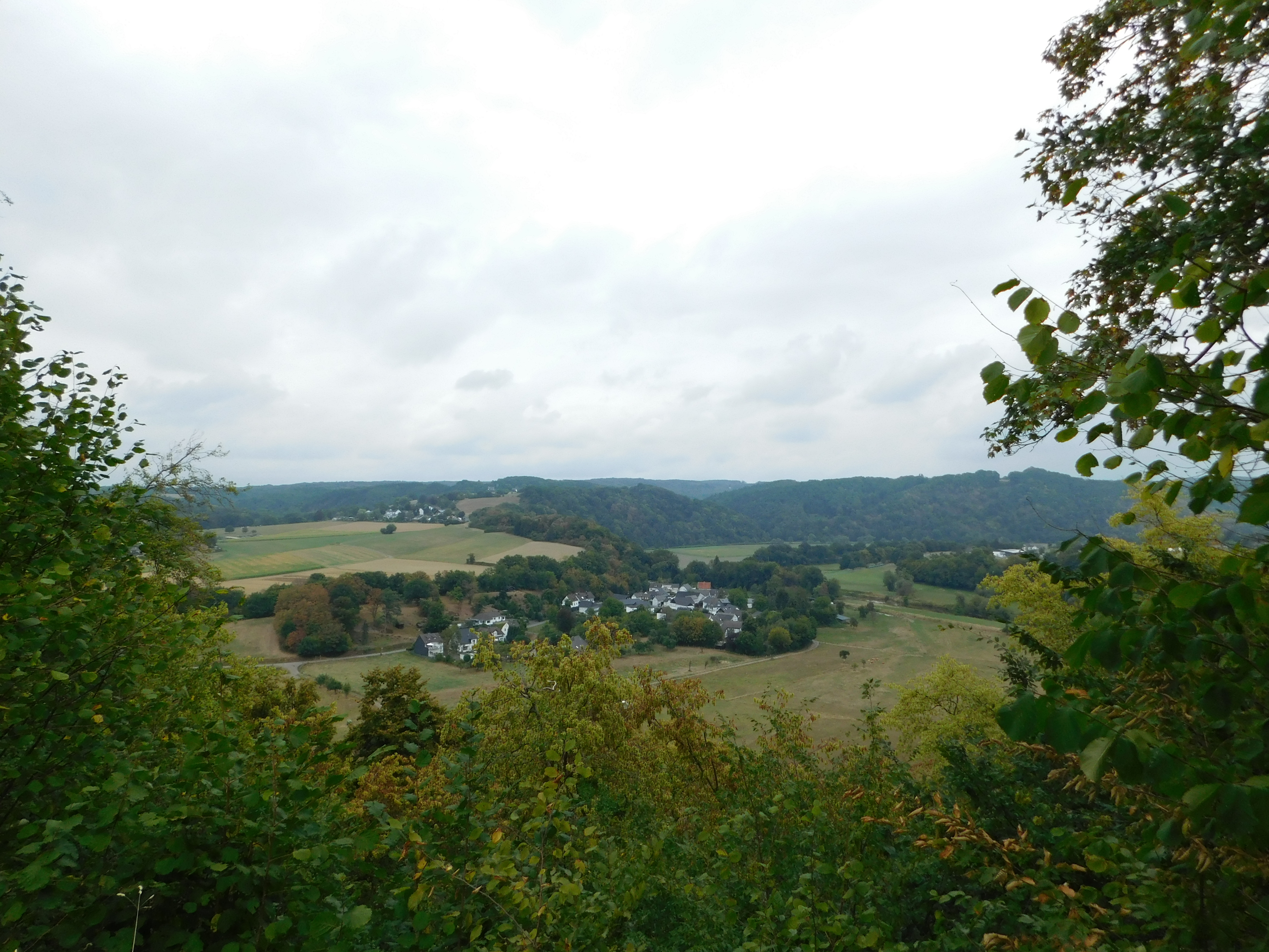 DSCN5240