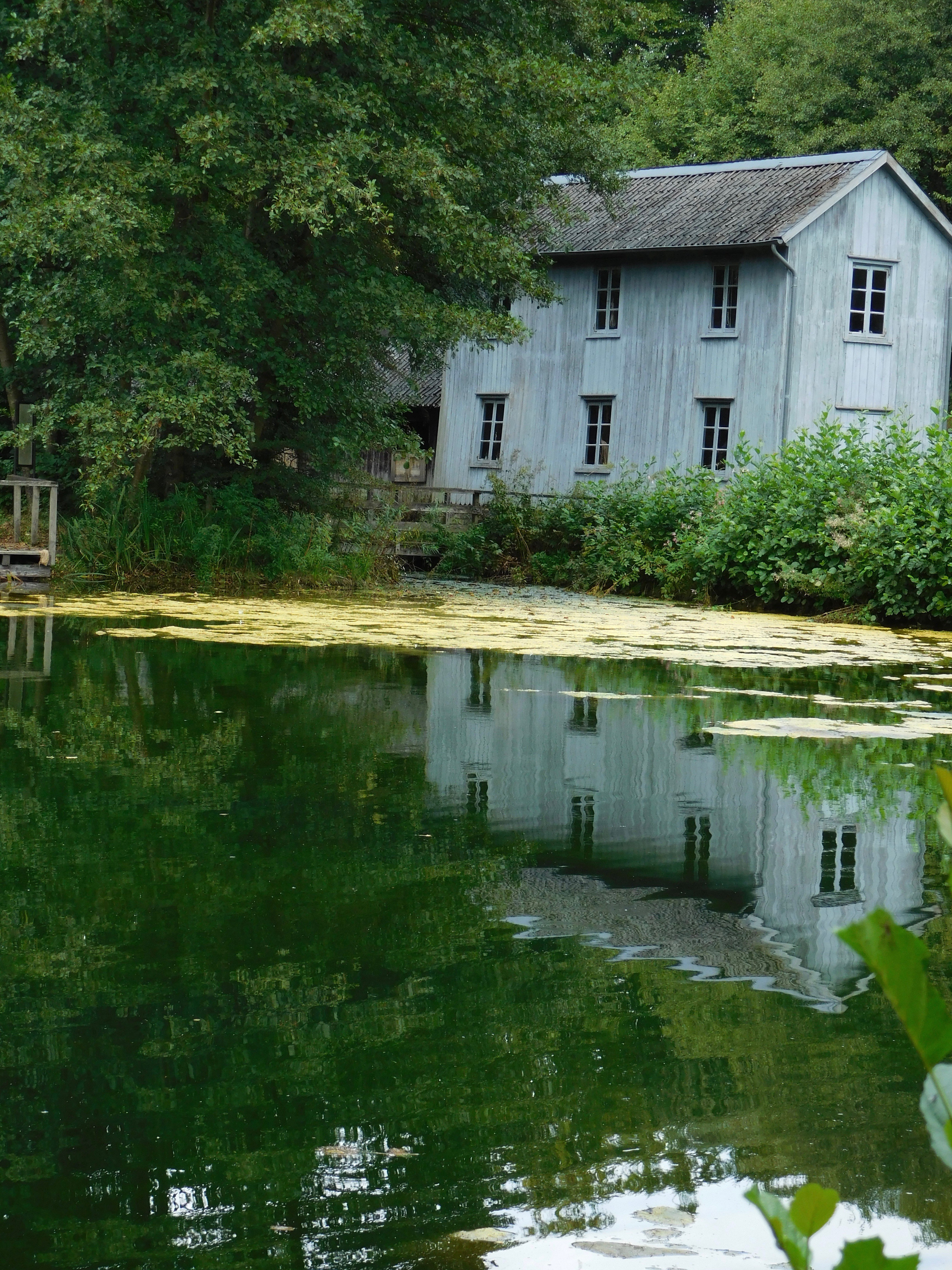 dscn5318.jpg