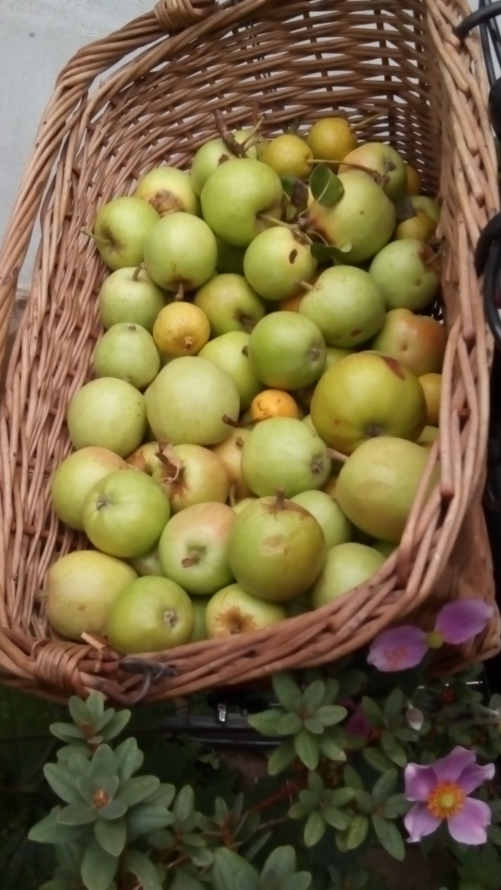 Sommer einfangen und&nbsp;beschriften