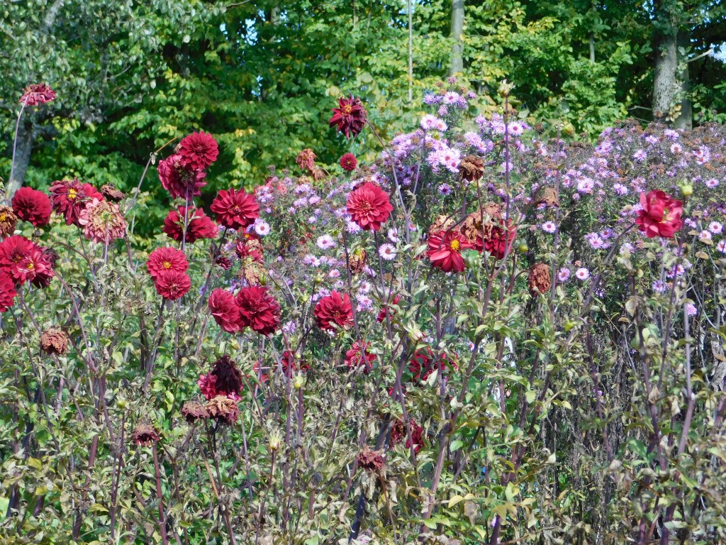 Hefe-Muffins und Blumen zum&nbsp;Freuen