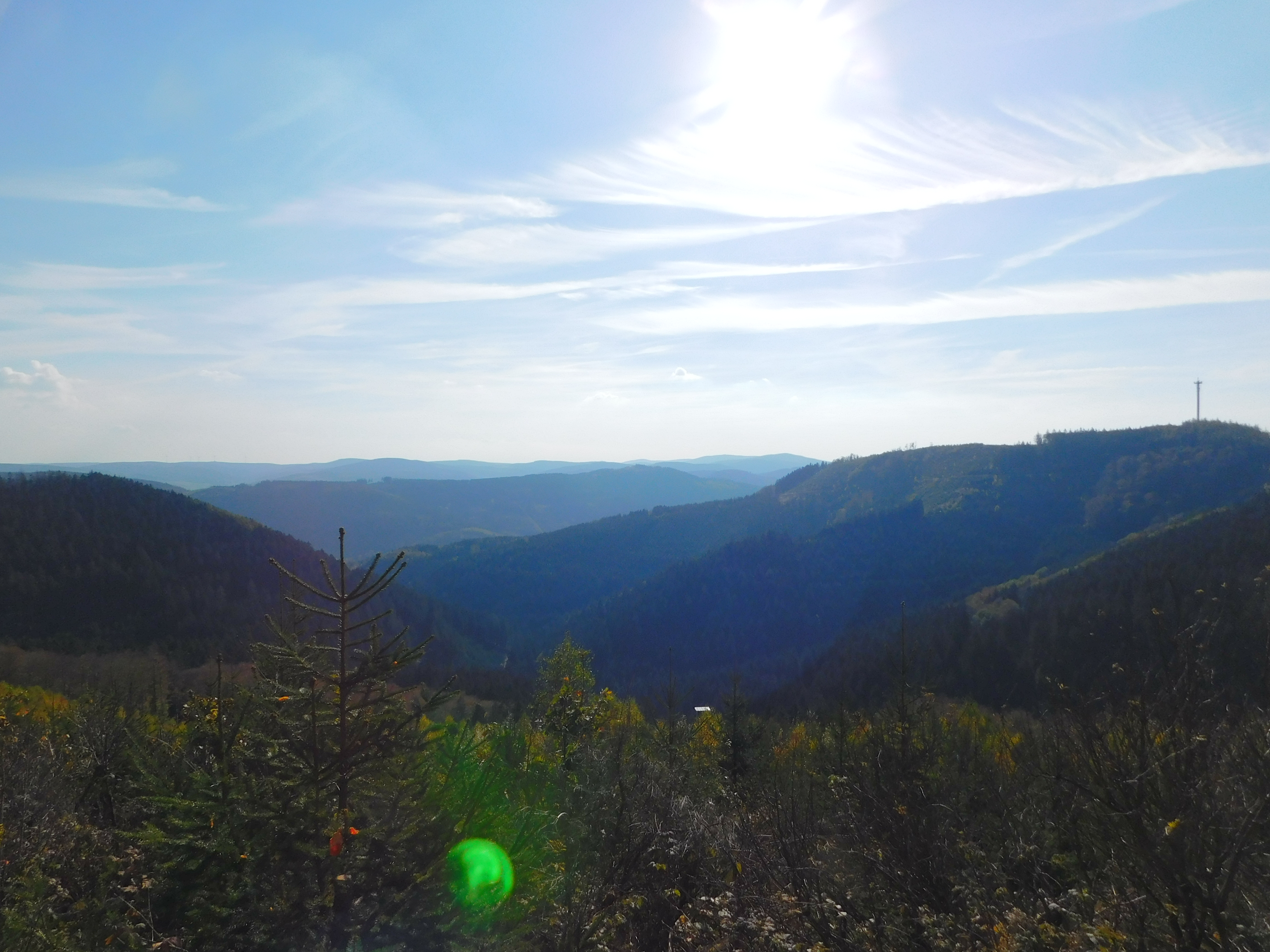 DSCN5568