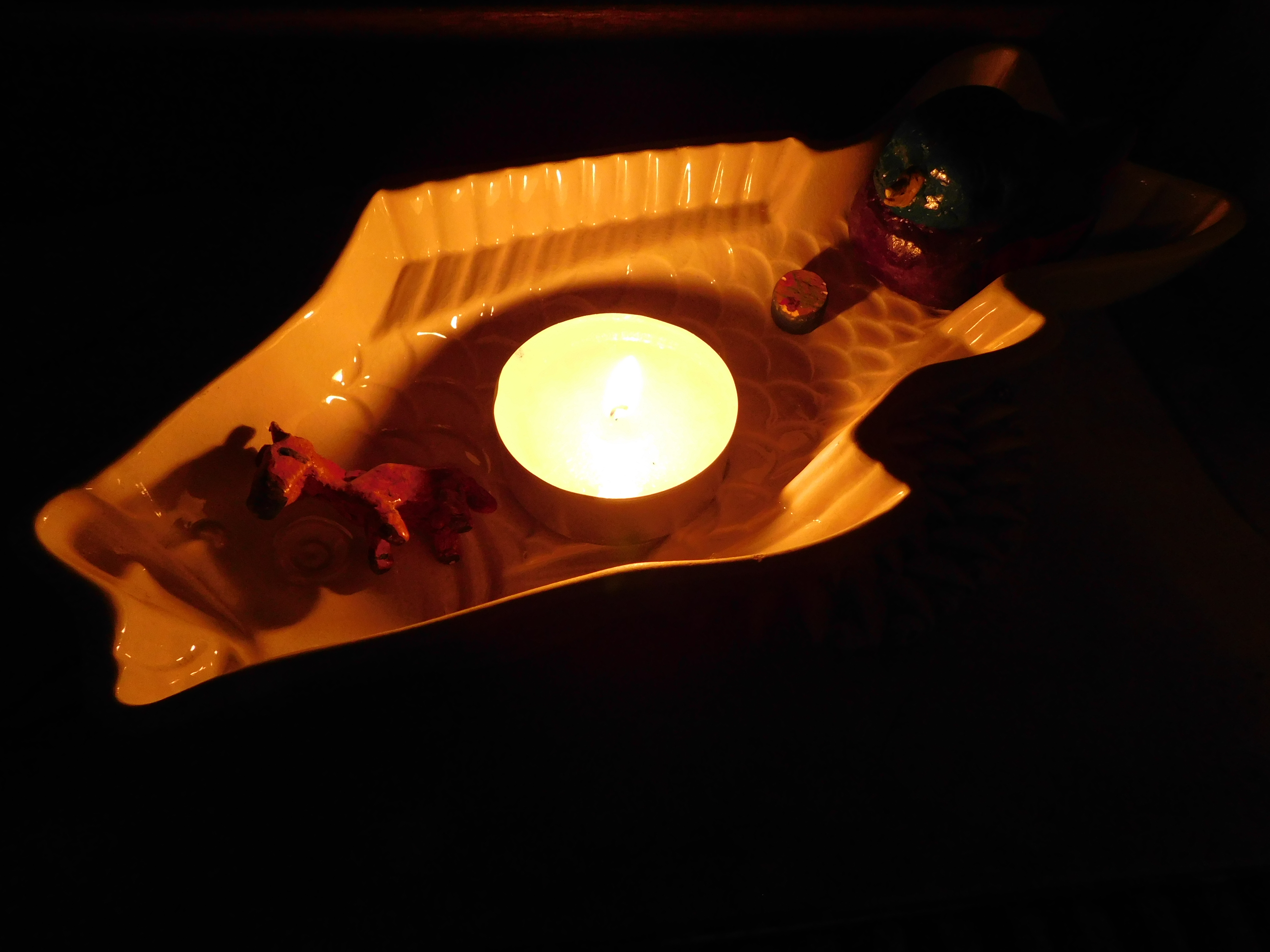 DSCN5607