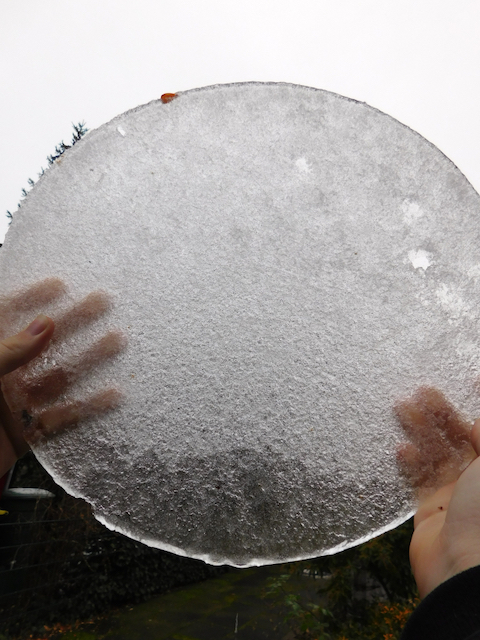 Eisscheibe Saalhausen