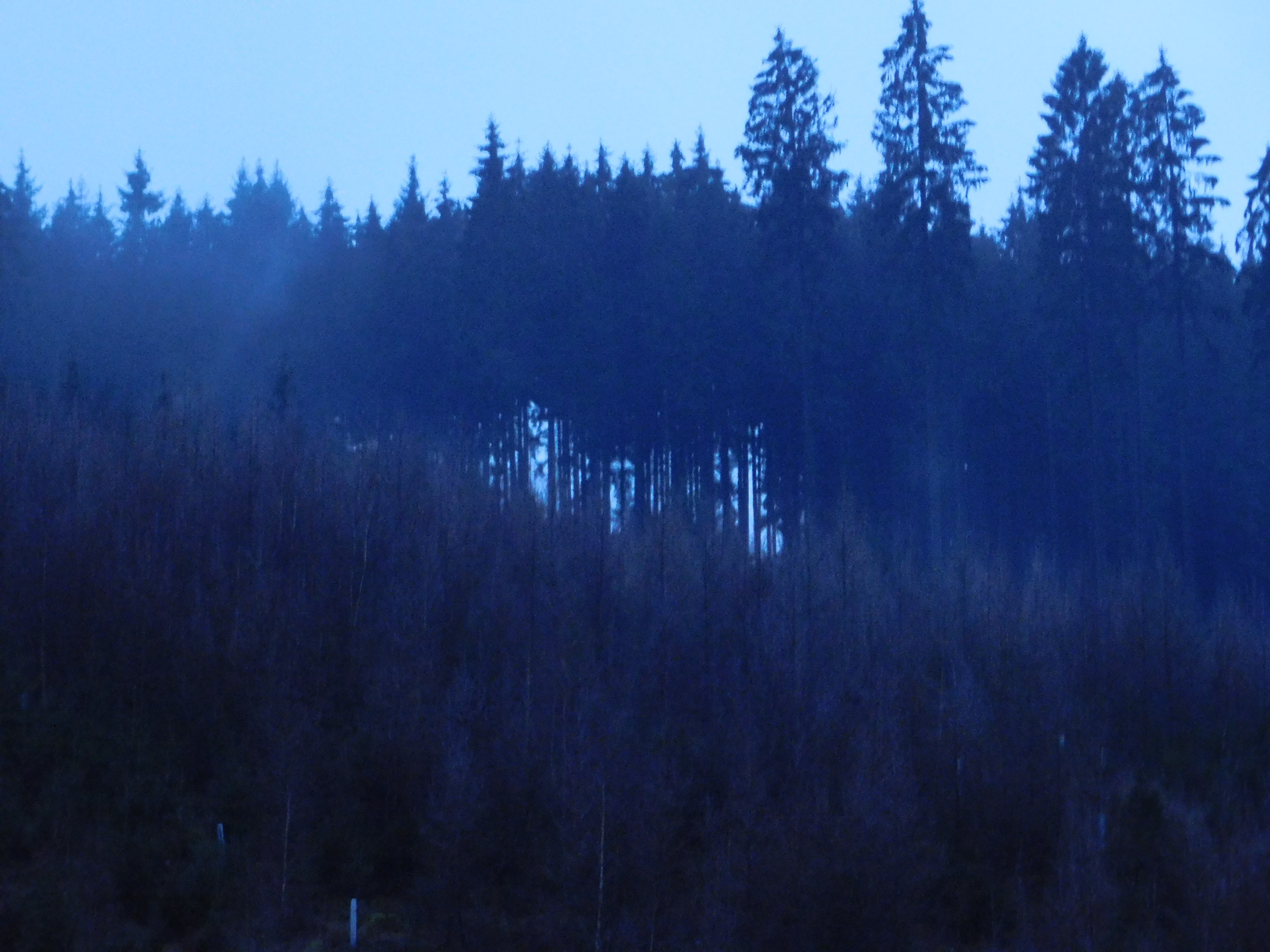 dscn5959