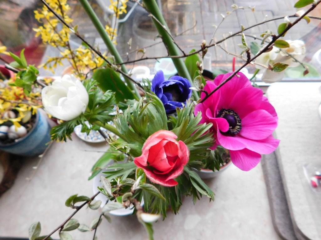 Rückblick Februar 2019 und&nbsp;mehr