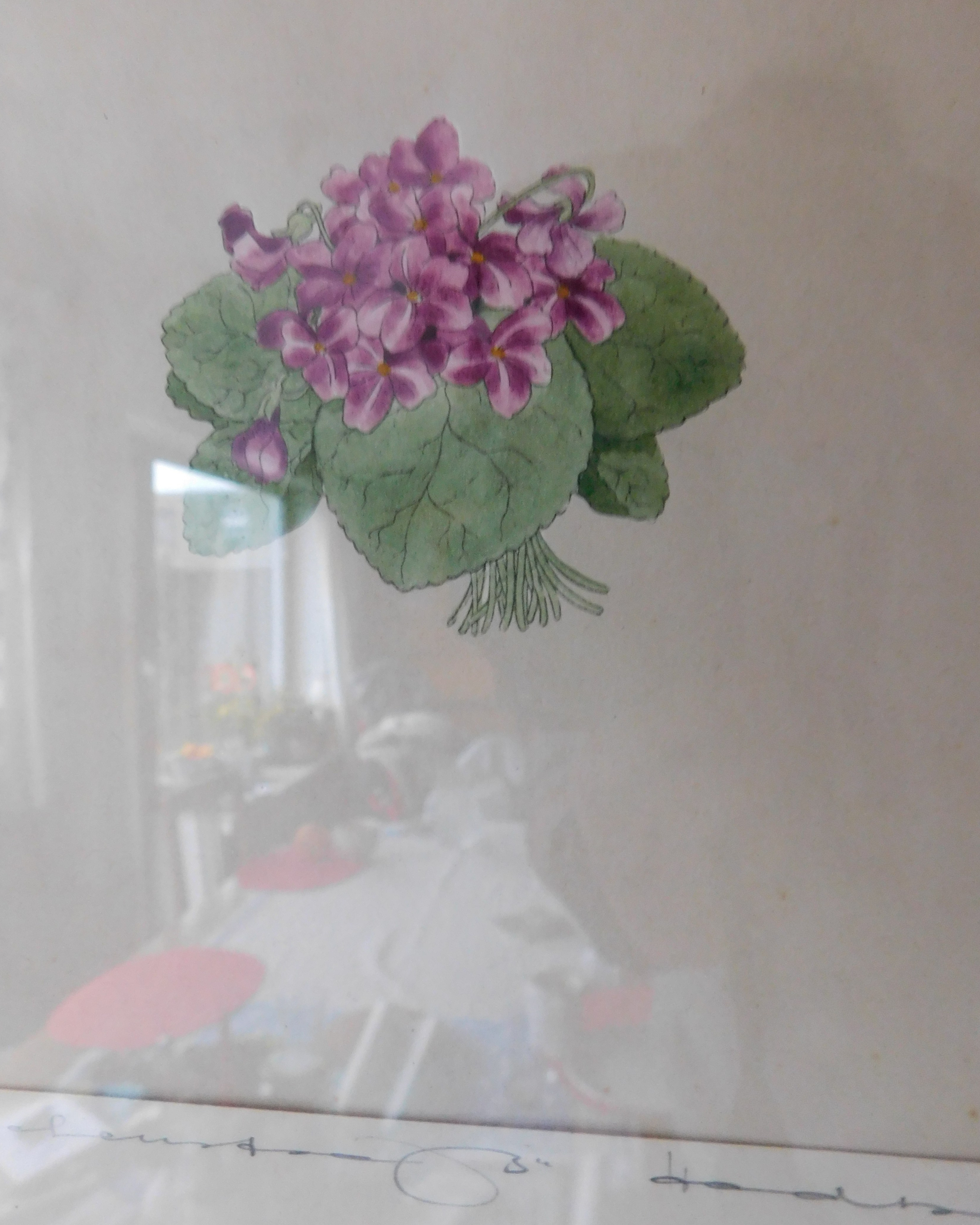 DSCN6260