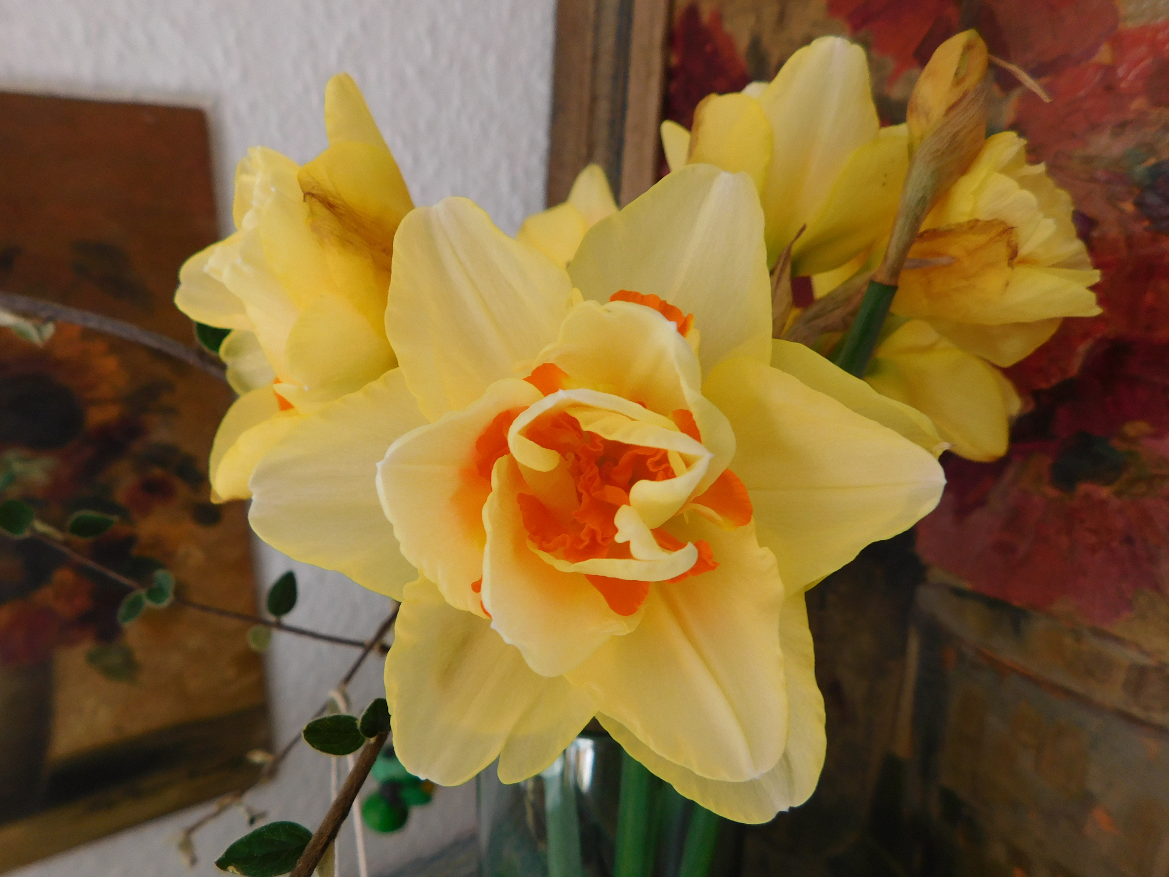 DSCN6422