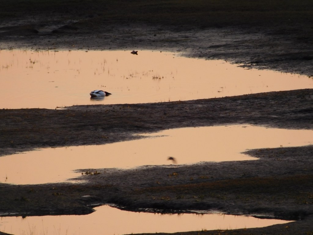 Zwei Wochen (mehr) Meer&nbsp;Luft