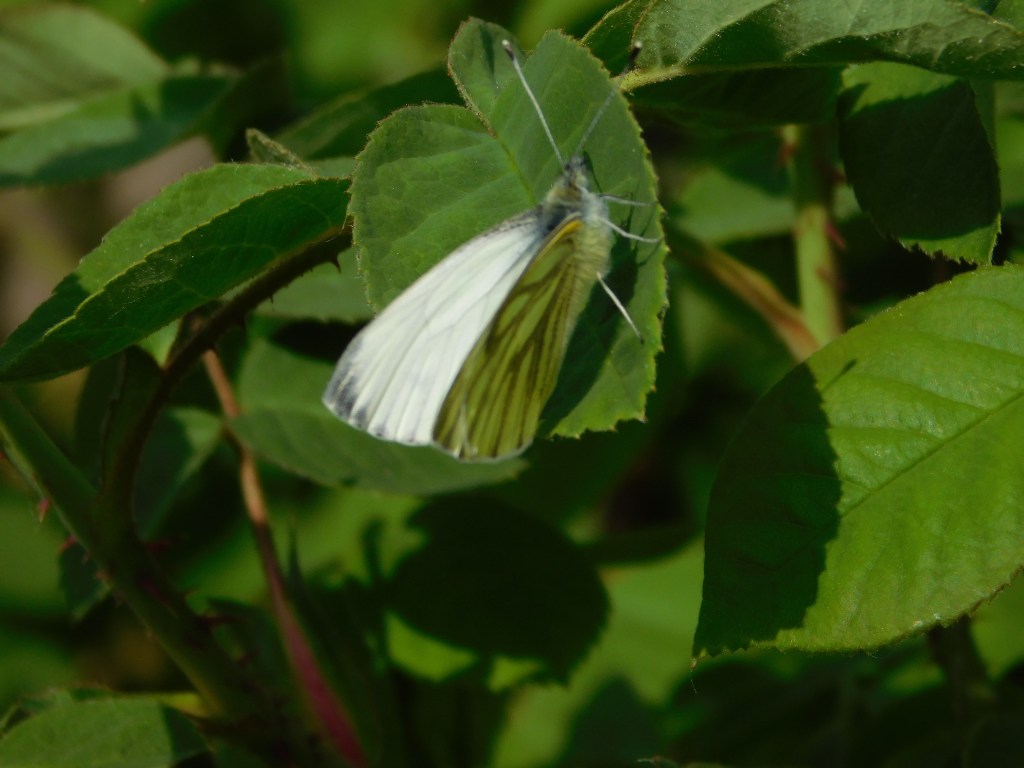 einfach nur ein schöner&nbsp;April