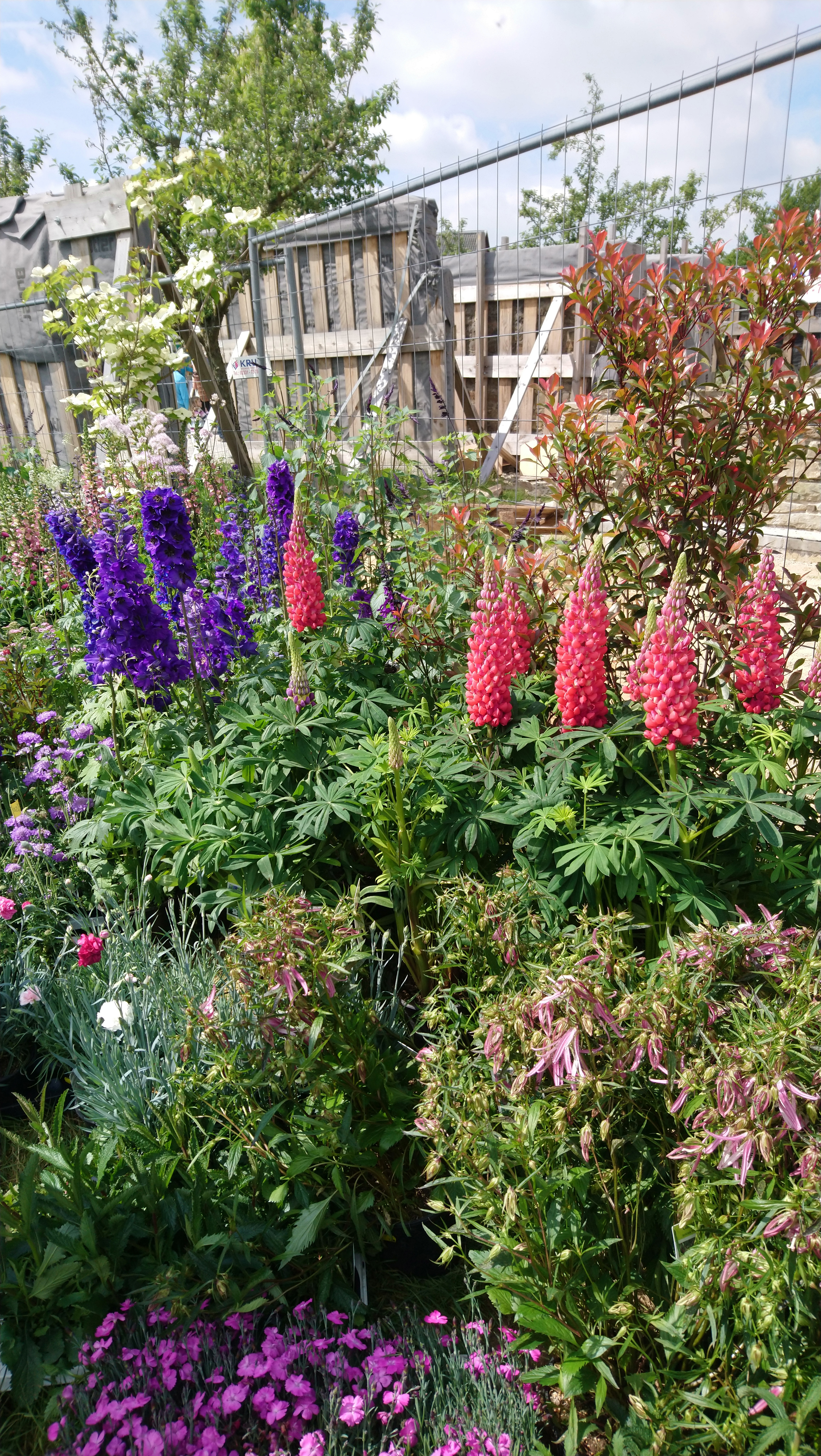 im Hintergrund Wiederaufbau eines alten Gebäudes