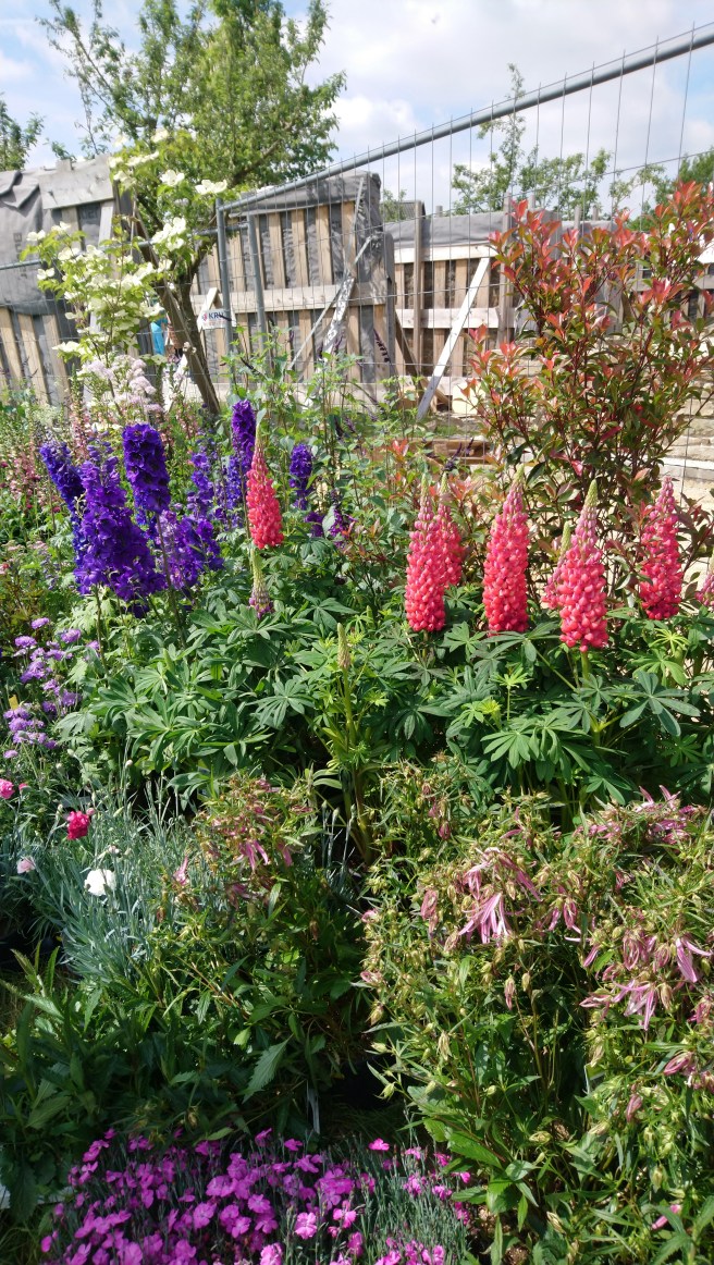 im Hintergrund Wiederaufbau eines alten Gebäudes