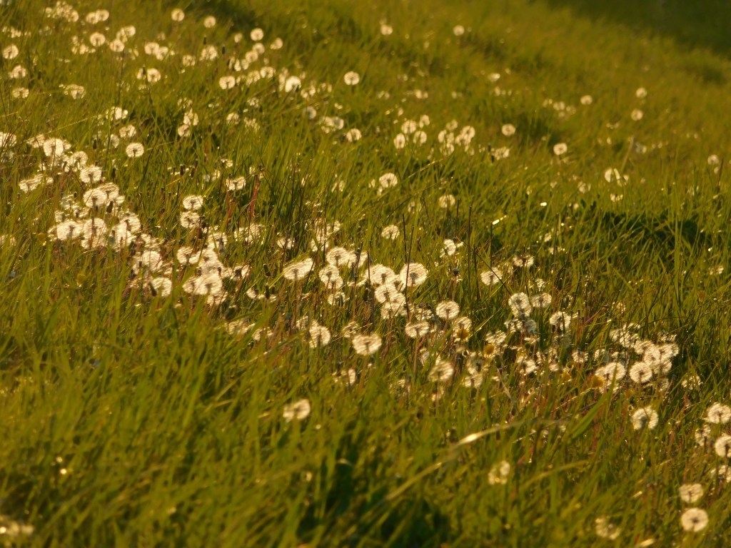 einfach Verschiedenes