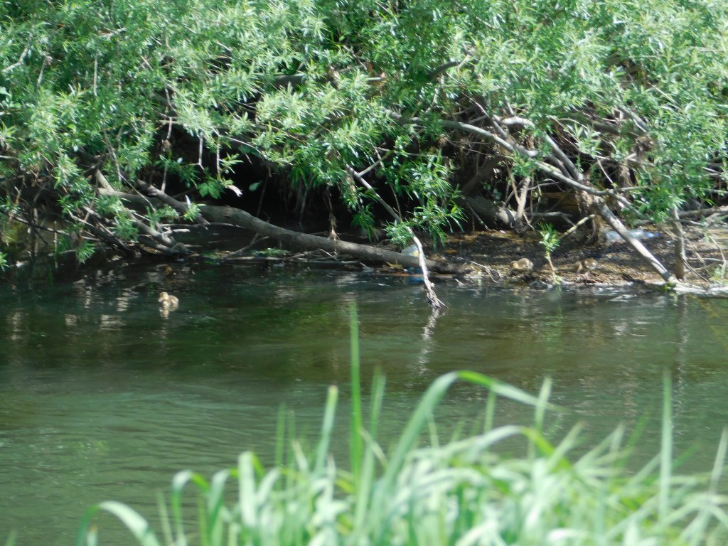 12 von 12 im&nbsp;Mai