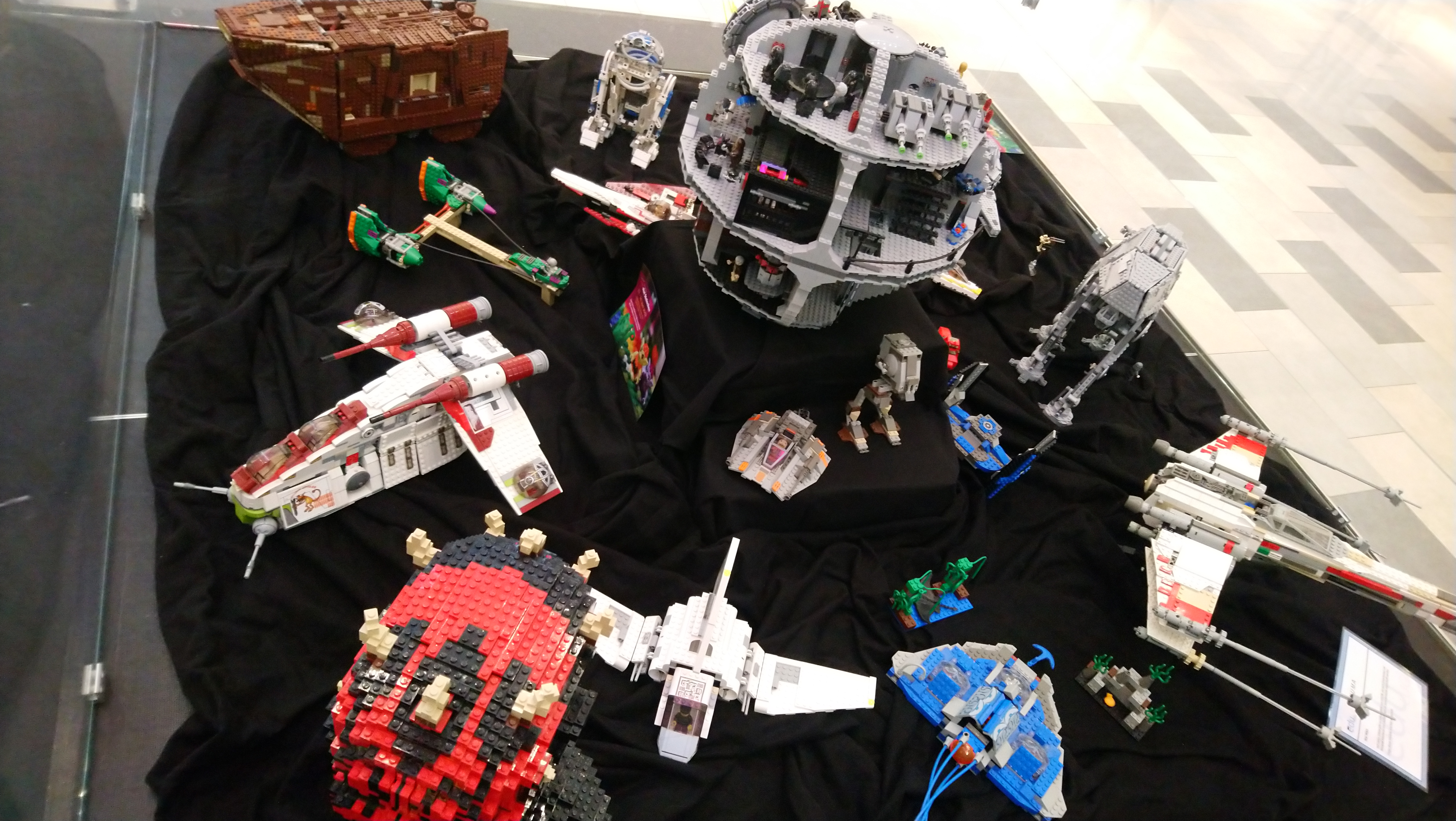 DSC_0281