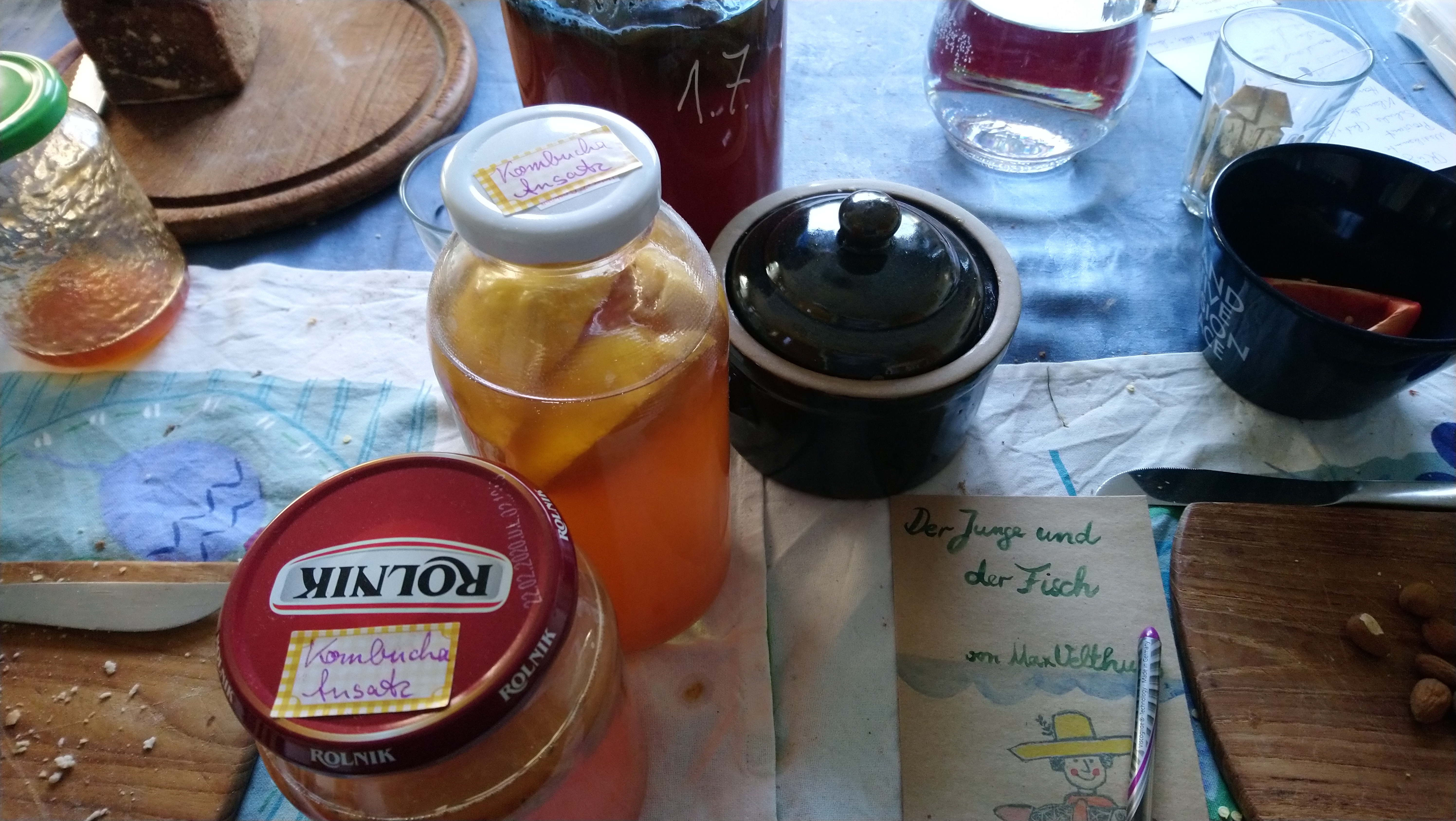 Kombucha Fridolin