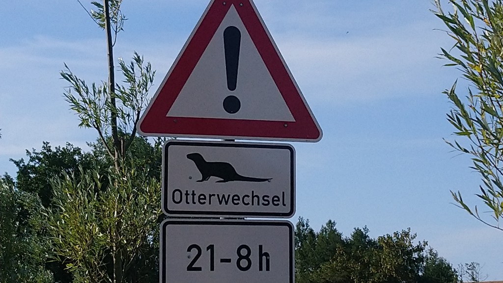 von Hühnergöttern, Donnerkeilen und&nbsp;Hühnengräbern