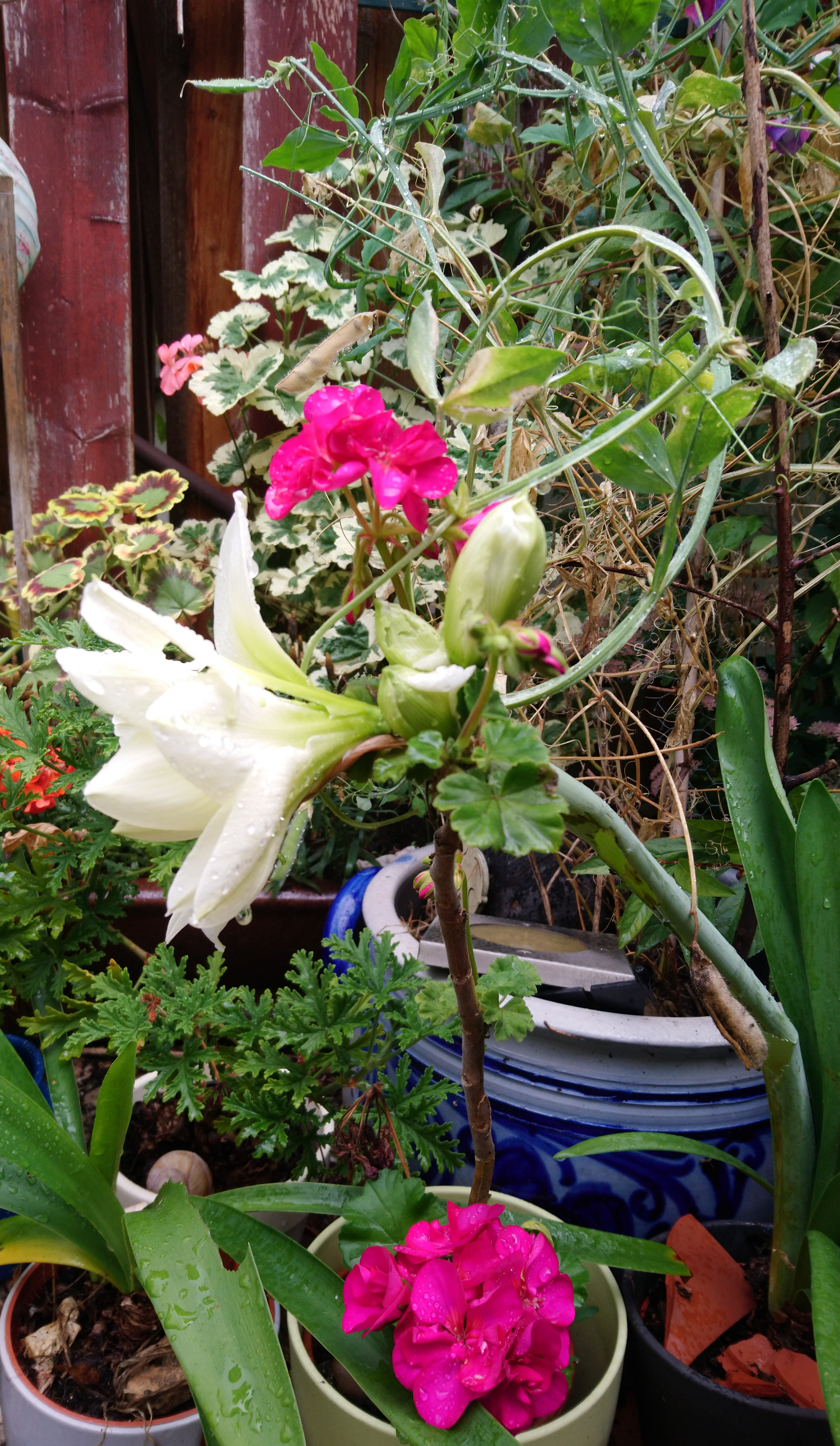 dsc_1144.jpg