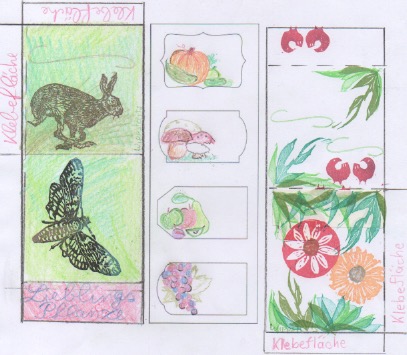 Scan 5