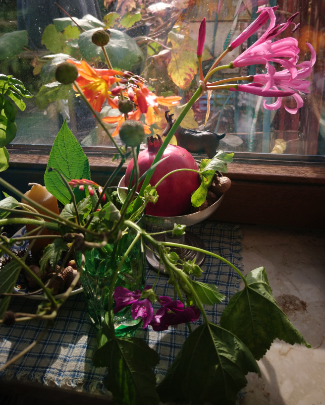 dsc_1242-e1571984433977