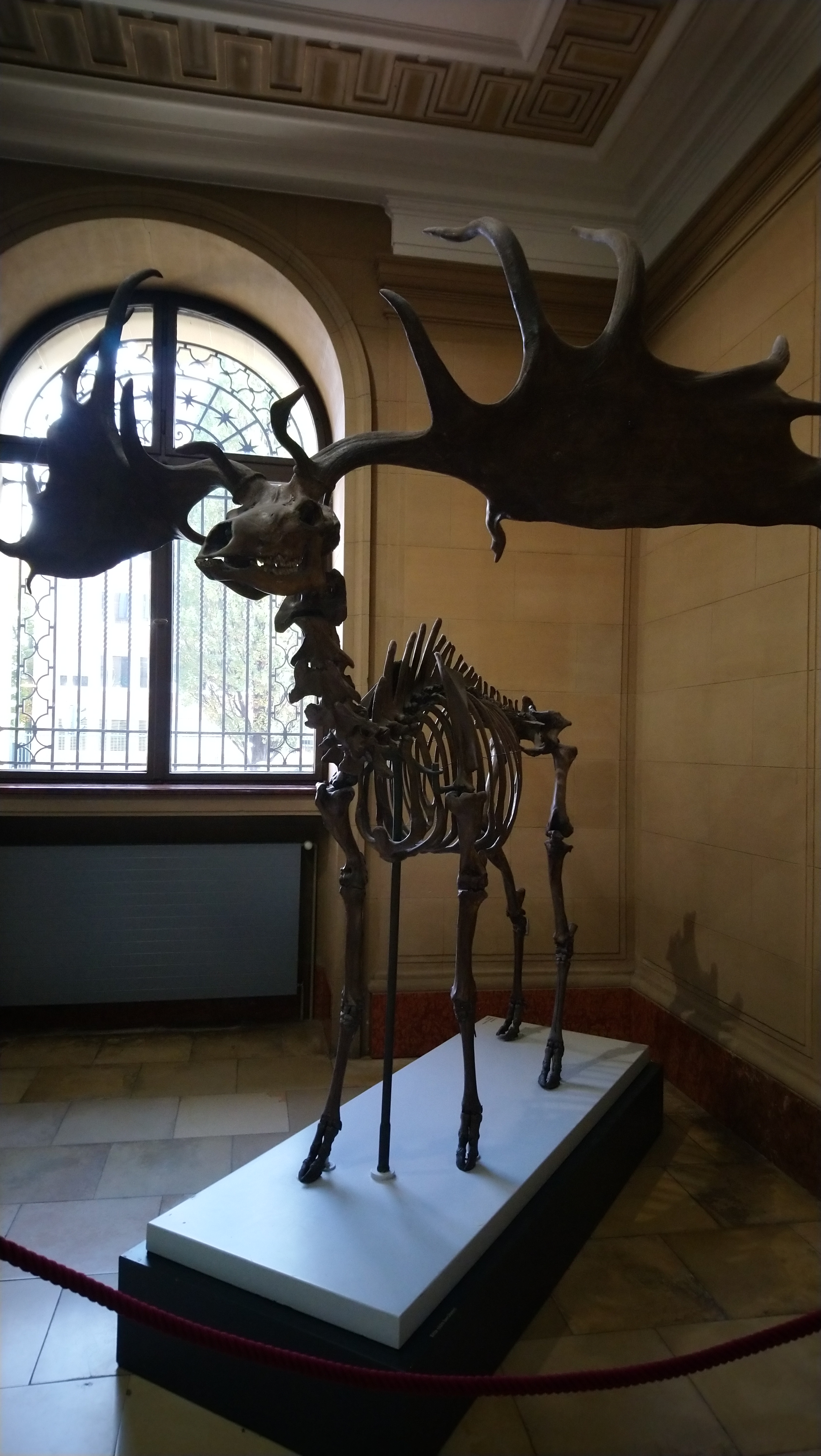 Urzeitlöcher Riesenhirsch