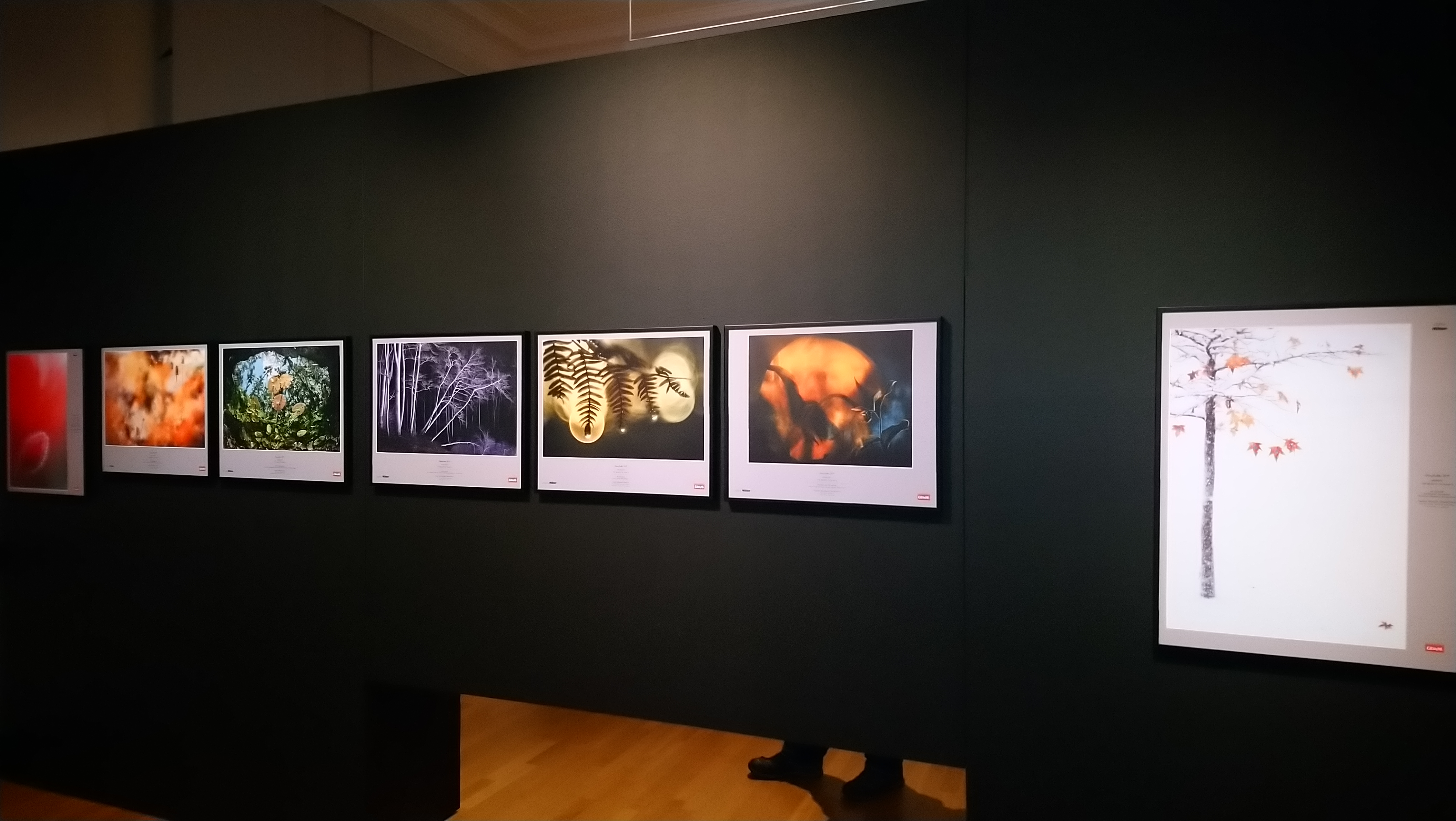 Fotoausstellung