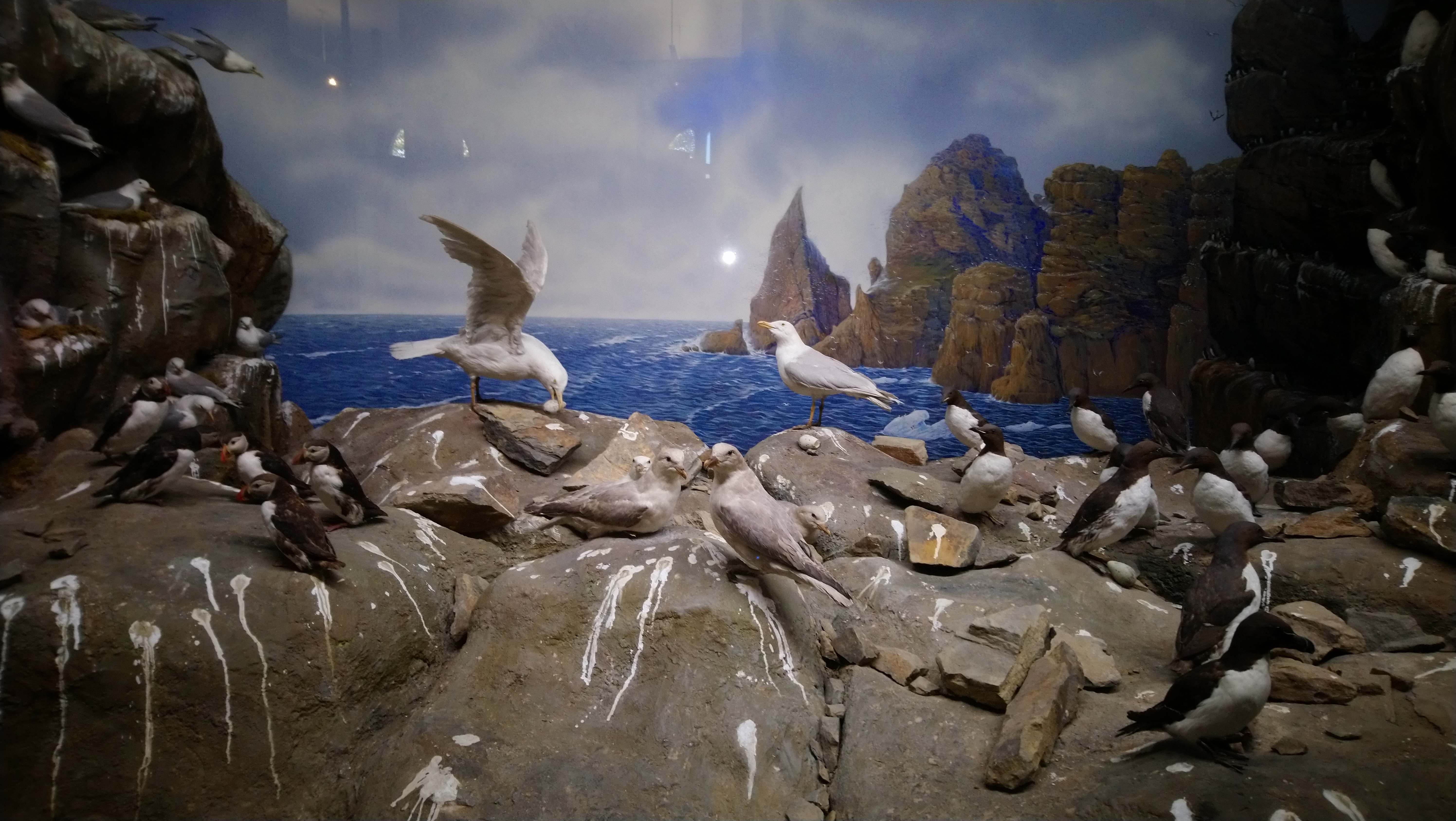 Diorama