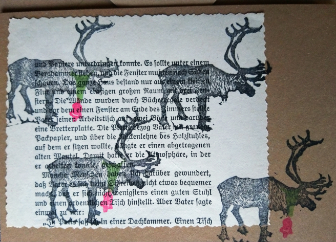 dsc_1443-e1572938926117