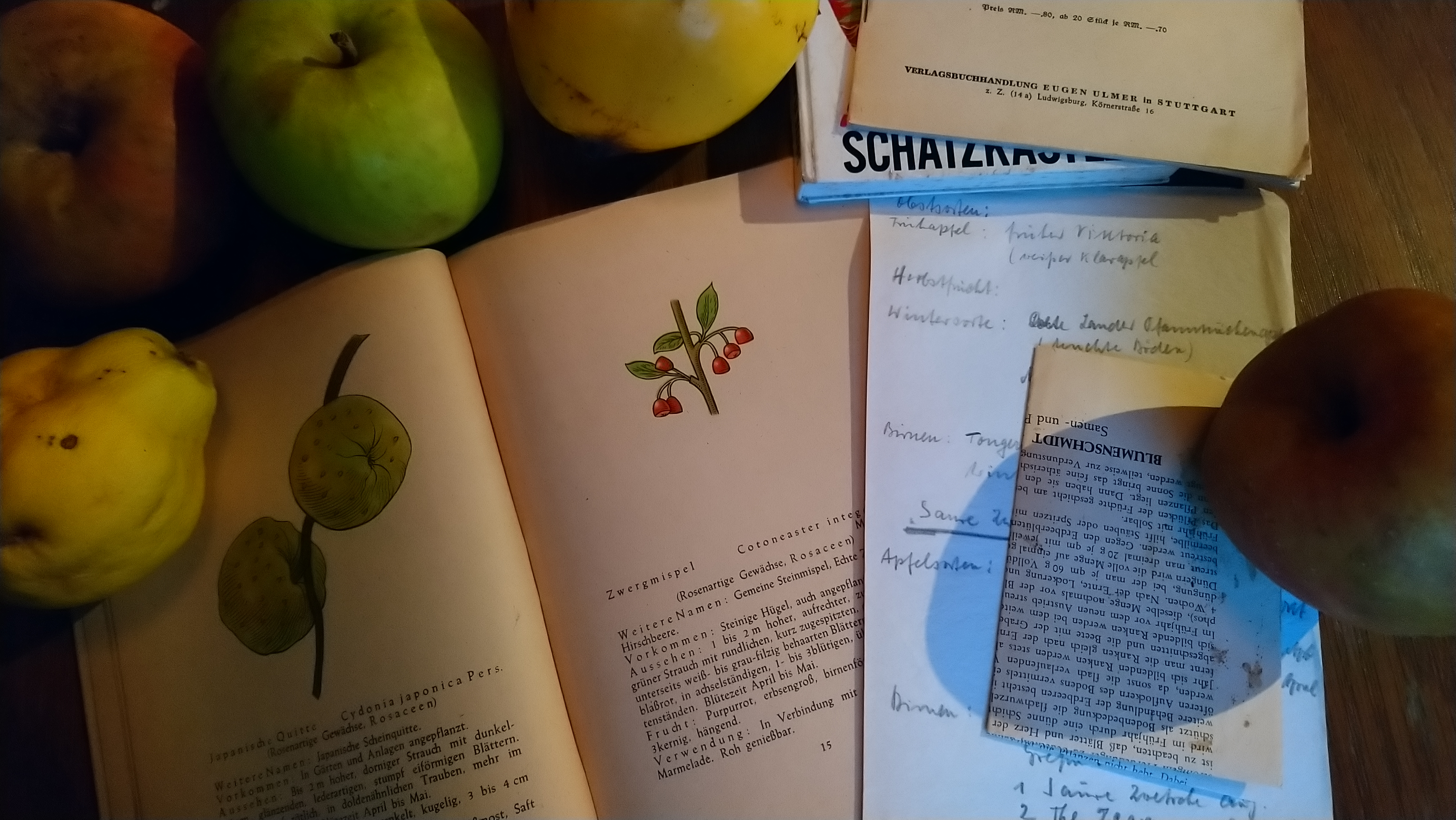 zum arbeiten